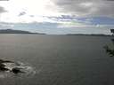 ./images/koeye/fitz-hugh/20180626/fitz-hugh20180626_145502.jpg