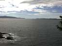 ./images/koeye/fitz-hugh/20180626/fitz-hugh20180626_150502.jpg