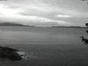 ./images/koeye/fitz-hugh/20180627/fitz-hugh20180627_042002.jpg