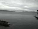 ./images/koeye/fitz-hugh/20180627/fitz-hugh20180627_042502.jpg