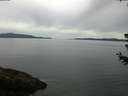 ./images/koeye/fitz-hugh/20180627/fitz-hugh20180627_083502.jpg