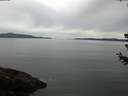 ./images/koeye/fitz-hugh/20180627/fitz-hugh20180627_084001.jpg