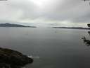 ./images/koeye/fitz-hugh/20180627/fitz-hugh20180627_084501.jpg