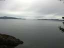 ./images/koeye/fitz-hugh/20180627/fitz-hugh20180627_090501.jpg