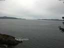 ./images/koeye/fitz-hugh/20180627/fitz-hugh20180627_094501.jpg