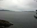 ./images/koeye/fitz-hugh/20180627/fitz-hugh20180627_095001.jpg