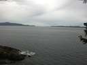 ./images/koeye/fitz-hugh/20180627/fitz-hugh20180627_100501.jpg