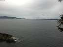 ./images/koeye/fitz-hugh/20180627/fitz-hugh20180627_105501.jpg
