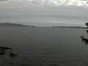 ./images/koeye/fitz-hugh/20180627/fitz-hugh20180627_224501.jpg