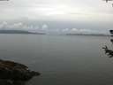 ./images/koeye/fitz-hugh/20180628/fitz-hugh20180628_061501.jpg