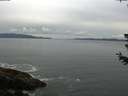 ./images/koeye/fitz-hugh/20180628/fitz-hugh20180628_070501.jpg