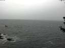 ./images/koeye/fitz-hugh/20180628/fitz-hugh20180628_132501.jpg