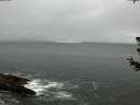 ./images/koeye/fitz-hugh/20180628/fitz-hugh20180628_194502.jpg
