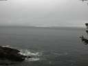 ./images/koeye/fitz-hugh/20180628/fitz-hugh20180628_195501.jpg