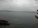 ./images/koeye/fitz-hugh/20180628/fitz-hugh20180628_204502.jpg