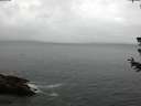 ./images/koeye/fitz-hugh/20180628/fitz-hugh20180628_205501.jpg