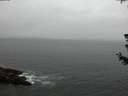 ./images/koeye/fitz-hugh/20180628/fitz-hugh20180628_214501.jpg