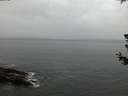 ./images/koeye/fitz-hugh/20180628/fitz-hugh20180628_215501.jpg