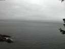 ./images/koeye/fitz-hugh/20180629/fitz-hugh20180629_044502.jpg