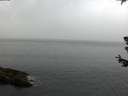 ./images/koeye/fitz-hugh/20180629/fitz-hugh20180629_053501.jpg