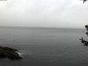 ./images/koeye/fitz-hugh/20180629/fitz-hugh20180629_054001.jpg