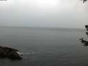 ./images/koeye/fitz-hugh/20180629/fitz-hugh20180629_054501.jpg
