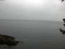 ./images/koeye/fitz-hugh/20180629/fitz-hugh20180629_060501.jpg