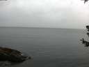 ./images/koeye/fitz-hugh/20180629/fitz-hugh20180629_061001.jpg