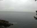./images/koeye/fitz-hugh/20180629/fitz-hugh20180629_063502.jpg