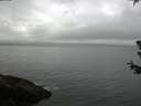 ./images/koeye/fitz-hugh/20180629/fitz-hugh20180629_072502.jpg