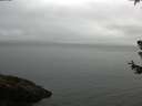 ./images/koeye/fitz-hugh/20180629/fitz-hugh20180629_074502.jpg