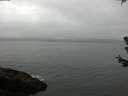 ./images/koeye/fitz-hugh/20180629/fitz-hugh20180629_080501.jpg