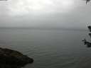 ./images/koeye/fitz-hugh/20180629/fitz-hugh20180629_081001.jpg