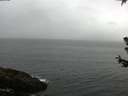 ./images/koeye/fitz-hugh/20180629/fitz-hugh20180629_092501.jpg