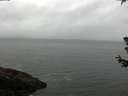 ./images/koeye/fitz-hugh/20180629/fitz-hugh20180629_100502.jpg