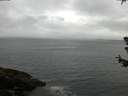 ./images/koeye/fitz-hugh/20180629/fitz-hugh20180629_104502.jpg