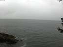 ./images/koeye/fitz-hugh/20180629/fitz-hugh20180629_112001.jpg