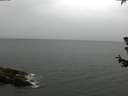 ./images/koeye/fitz-hugh/20180629/fitz-hugh20180629_120501.jpg
