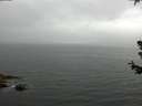 ./images/koeye/fitz-hugh/20180629/fitz-hugh20180629_133502.jpg