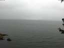 ./images/koeye/fitz-hugh/20180629/fitz-hugh20180629_134502.jpg