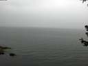 ./images/koeye/fitz-hugh/20180629/fitz-hugh20180629_135002.jpg