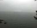 ./images/koeye/fitz-hugh/20180629/fitz-hugh20180629_135502.jpg