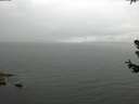 ./images/koeye/fitz-hugh/20180629/fitz-hugh20180629_140502.jpg