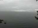 ./images/koeye/fitz-hugh/20180629/fitz-hugh20180629_141001.jpg