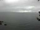 ./images/koeye/fitz-hugh/20180629/fitz-hugh20180629_141501.jpg