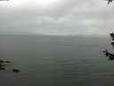 ./images/koeye/fitz-hugh/20180629/fitz-hugh20180629_142501.jpg