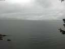 ./images/koeye/fitz-hugh/20180629/fitz-hugh20180629_143501.jpg