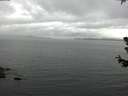 ./images/koeye/fitz-hugh/20180629/fitz-hugh20180629_144501.jpg