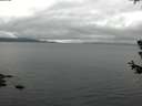 ./images/koeye/fitz-hugh/20180629/fitz-hugh20180629_154501.jpg