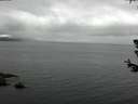 ./images/koeye/fitz-hugh/20180629/fitz-hugh20180629_163502.jpg
